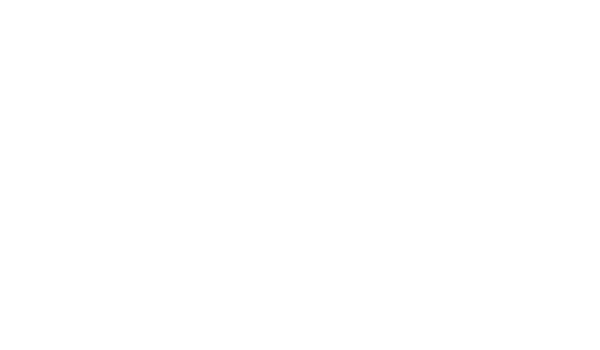 Bun & Base